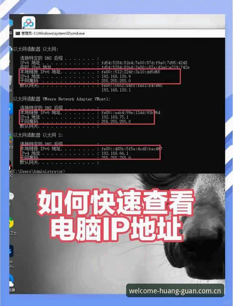 如何在2024年快速找到皇冠登录入口？实战派三步解决网址变动问题
